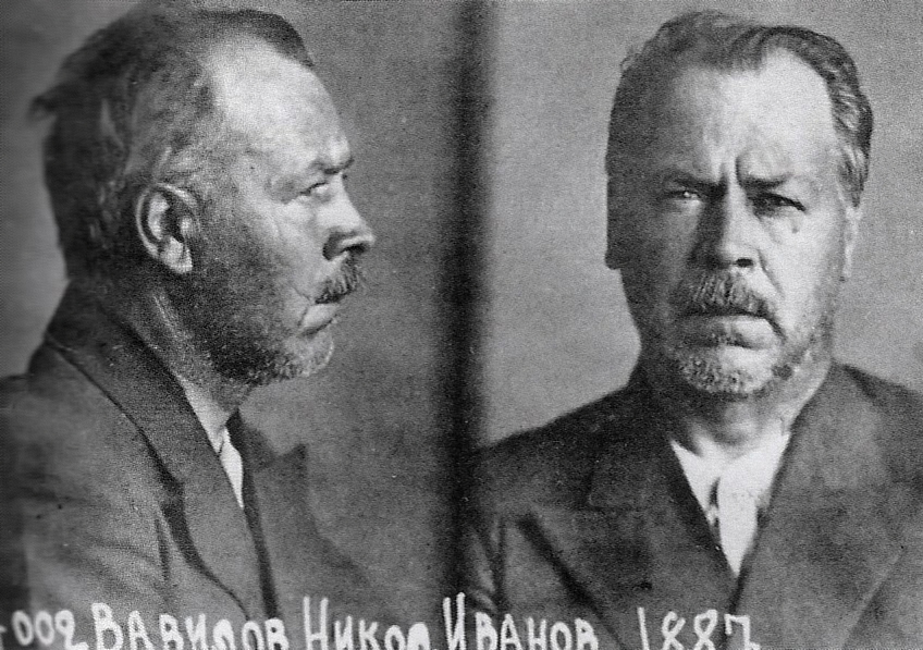 Foto segnaletica di Nikolay Vavilov dal carcere di Saratov nel 1942